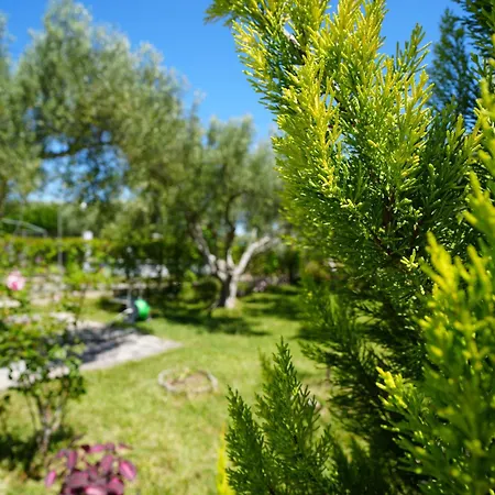 Ferienhaus Dream In Chalkidiki 2 Bedroom With Garden