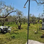 펜션 Dream In Chalkidiki 2 Bedroom With Garden Nea Triglia