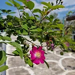 펜션 Dream In Chalkidiki 2 Bedroom With Garden Nea Triglia