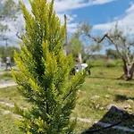 Dream In Chalkidiki 2 Bedroom With Garden * Nea Triglia