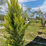 Dream In Chalkidiki 2 Bedroom With Garden 펜션