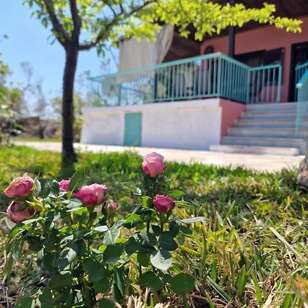 Dream In Chalkidiki 2 Bedroom With Garden Hébergement de vacances Nea Triglia
