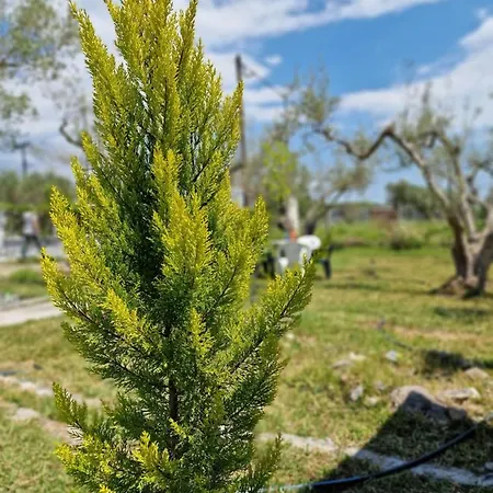 Dream In Chalkidiki 2 Bedroom With Garden * Nea Triglia