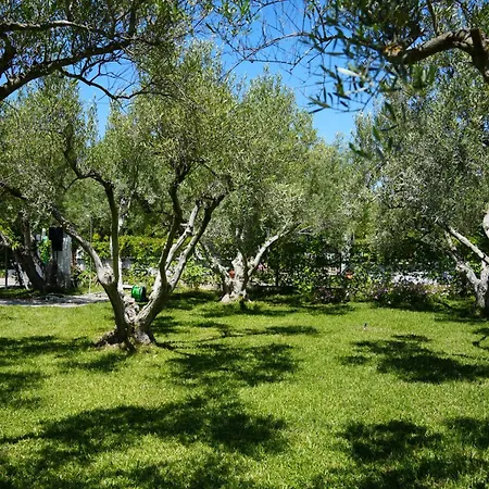 Dream In Chalkidiki 2 Bedroom With Garden *