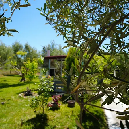 Dream In Chalkidiki 2 Bedroom With Garden Nea Triglia