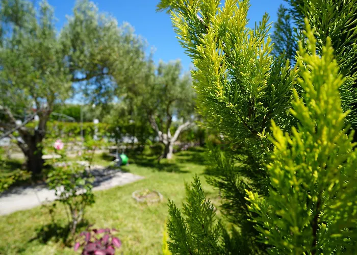 Vakantiehuis Dream In Chalkidiki 2 Bedroom With Garden