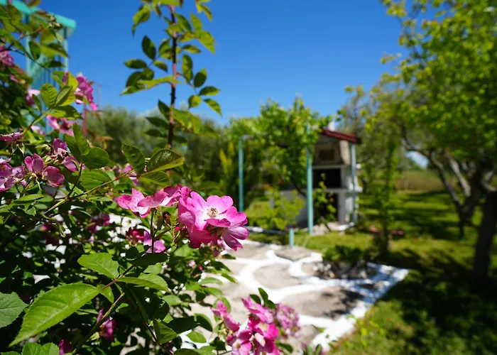 Vakantiehuis Dream In Chalkidiki 2 Bedroom With Garden *