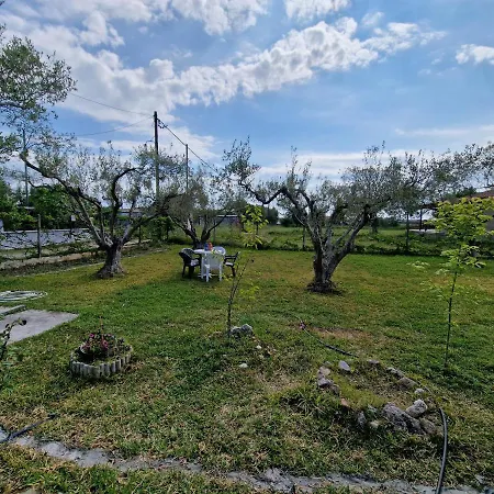 Dream In Chalkidiki 2 Bedroom With Garden Feriehus *