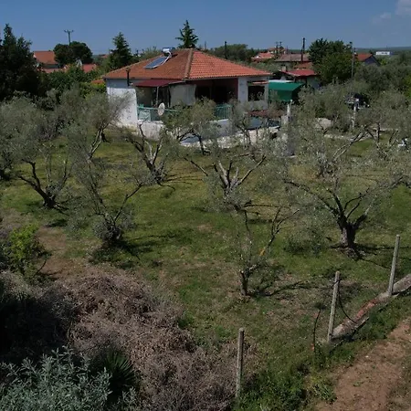 Dream In Chalkidiki 2 Bedroom With Garden Feriehus