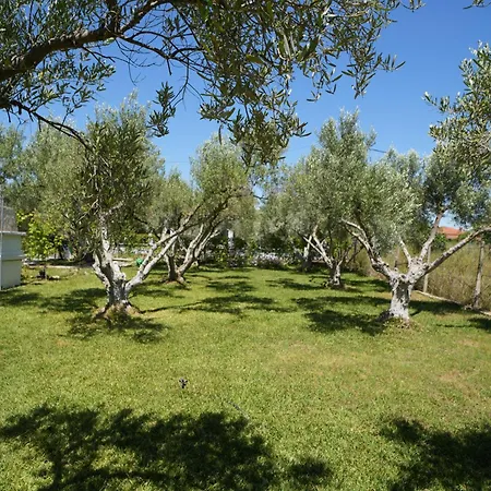 Feriehus Dream In Chalkidiki 2 Bedroom With Garden *