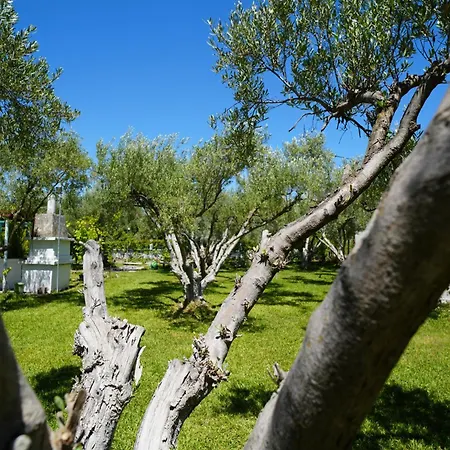 Feriehus Dream In Chalkidiki 2 Bedroom With Garden Nea Triglia