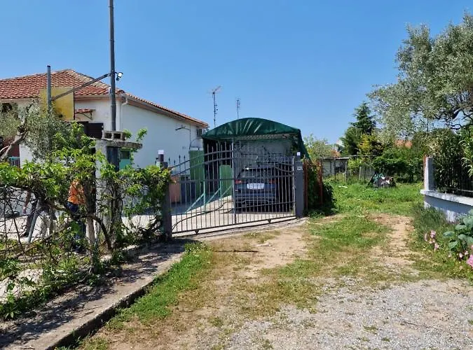 Dream In Chalkidiki 2 Bedroom With Garden *
