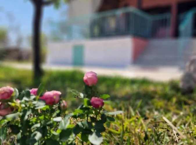 Dream In Chalkidiki 2 Bedroom With Garden *