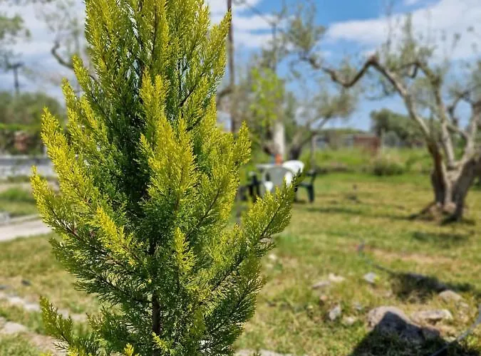 Dream In Chalkidiki 2 Bedroom With Garden Casa de Férias