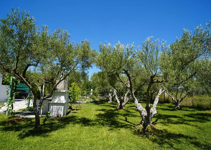 Dream In Chalkidiki 2 Bedroom With Garden Casa de Férias *