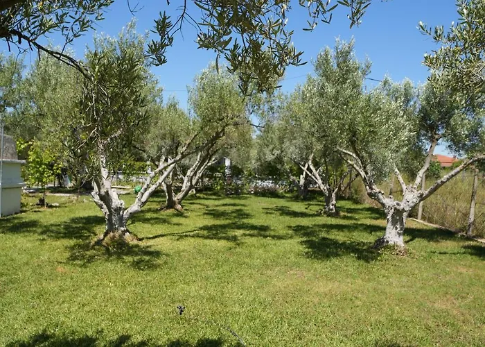 Casa de Férias Dream In Chalkidiki 2 Bedroom With Garden *