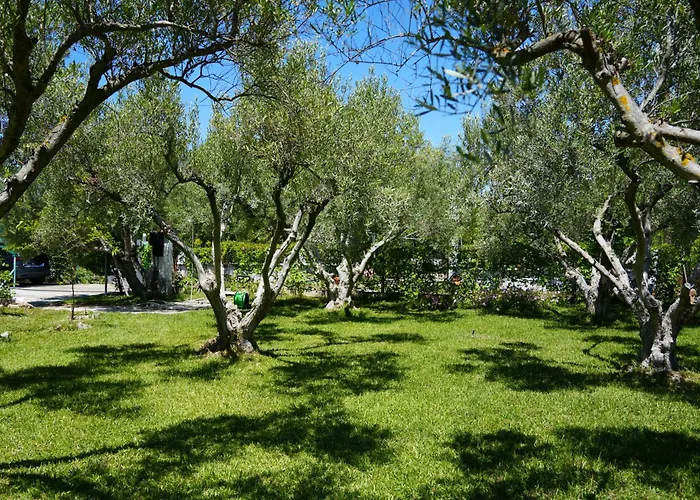Dream In Chalkidiki 2 Bedroom With Garden *