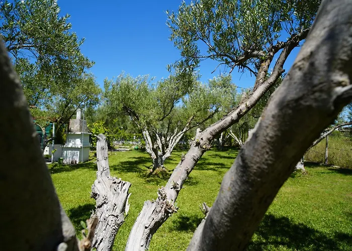 Casa de Férias Dream In Chalkidiki 2 Bedroom With Garden Nea Triglia